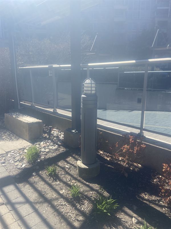 Bollard light with a caged globe in a garden bed next to a glass railing
