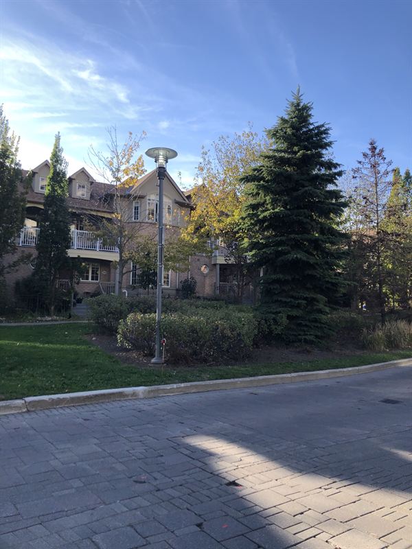 Post-top light beside a landscaped bed in a townhouse condo community